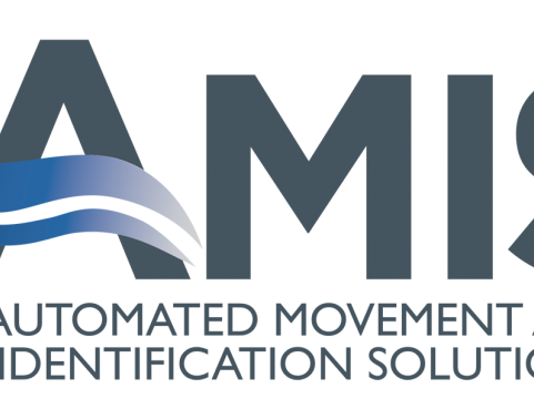 AMIS Logo